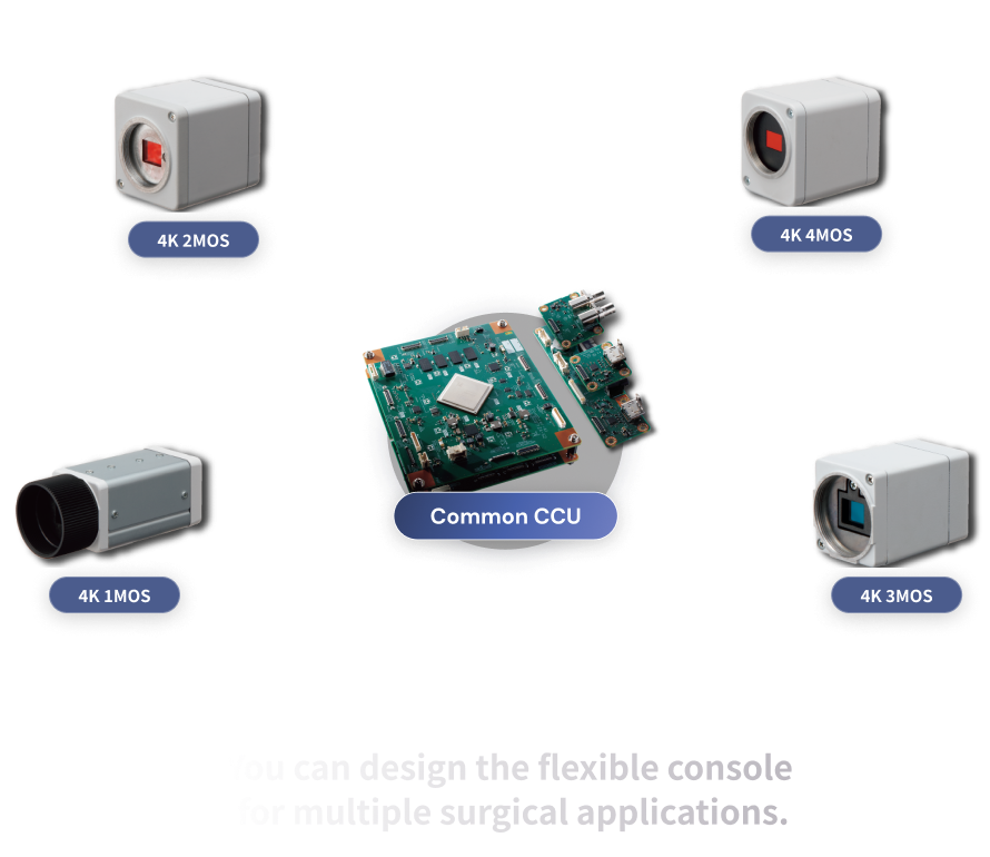 Camera Control Unit