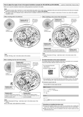 WV-X8570N, S8530N Supplement